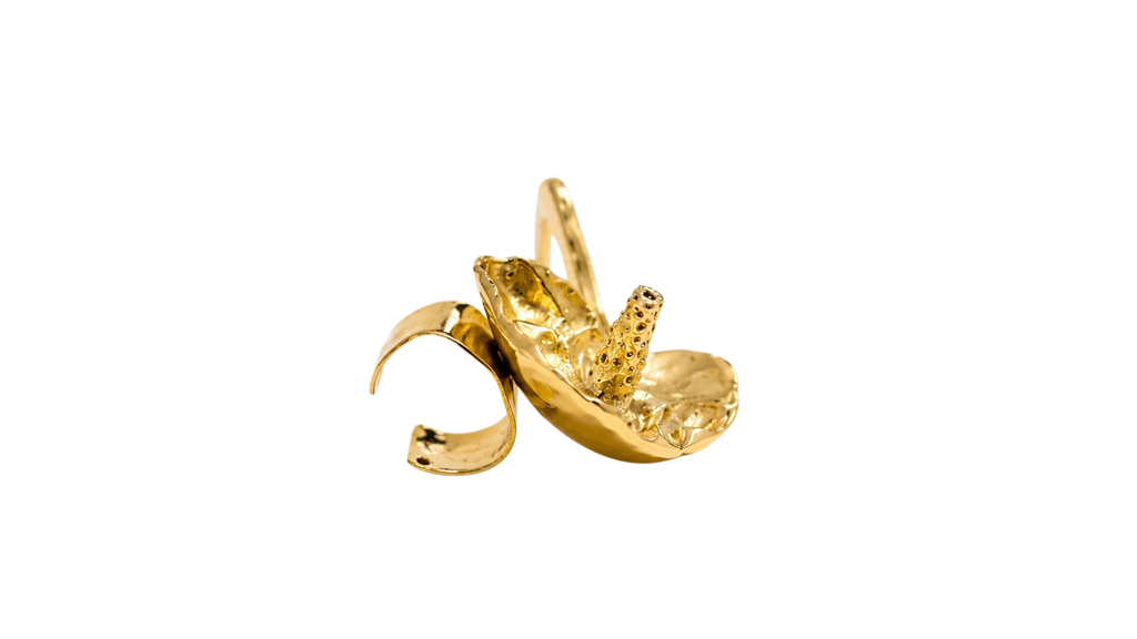 Aretes Anturio