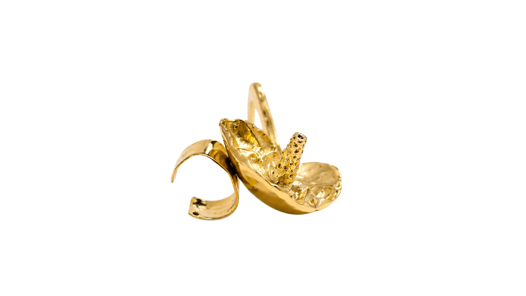 Aretes Anturio