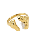 Anillo Aurelia