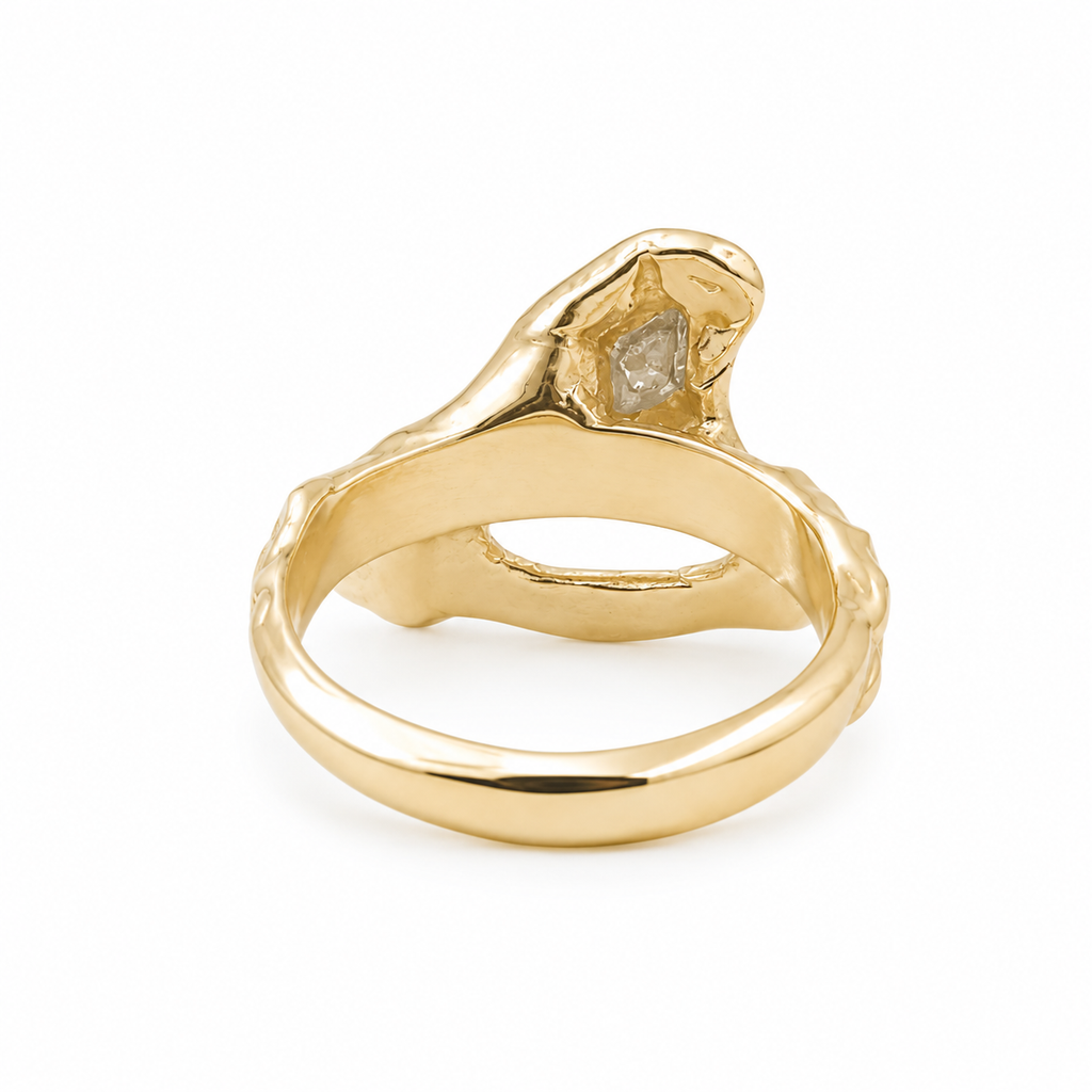 Anillo Aurelia