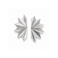 Aretes Clavigero