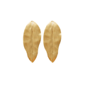 Aretes Encino