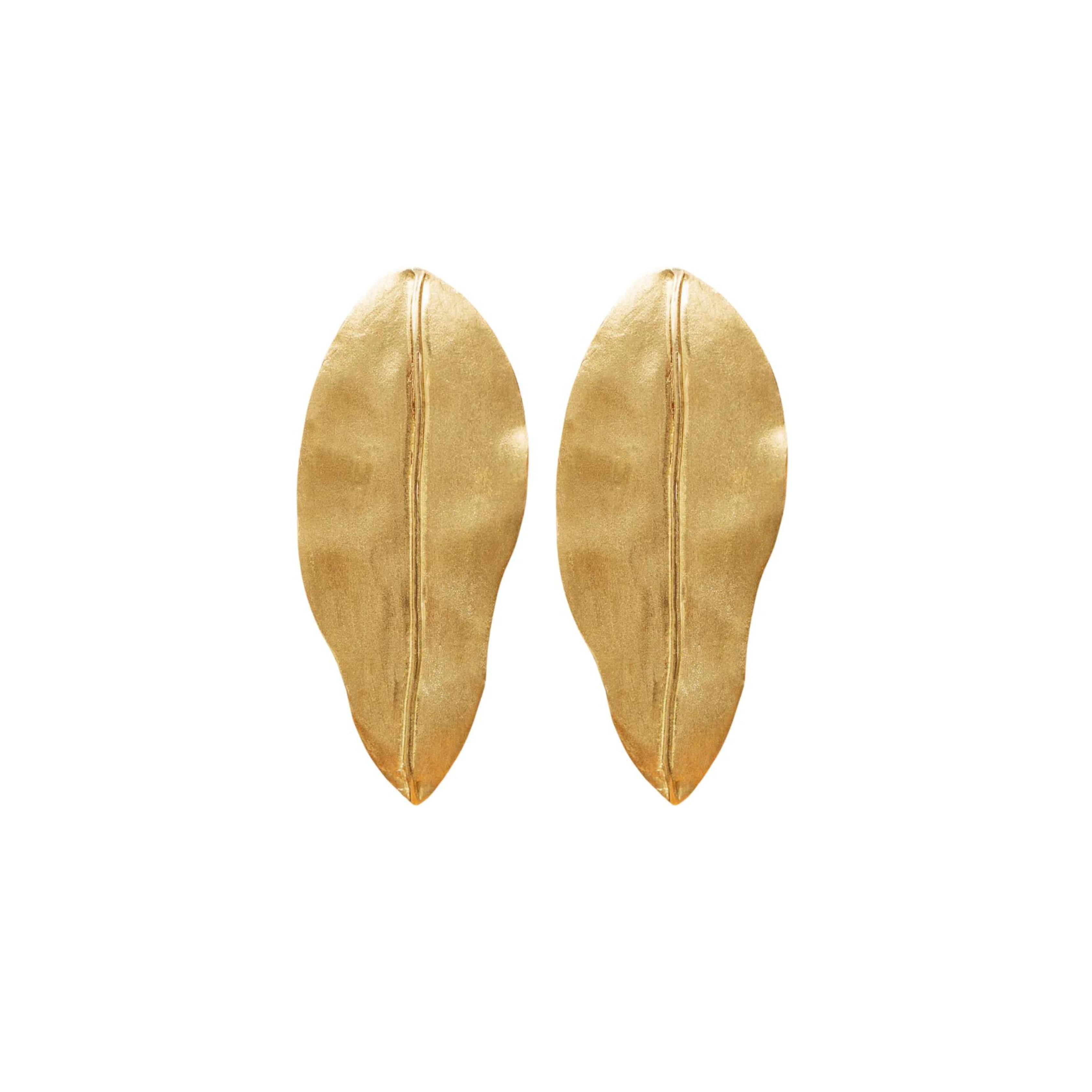 Aretes Encino