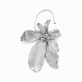 Arete Eva Maria