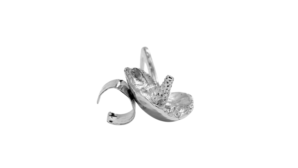 Aretes Anturio