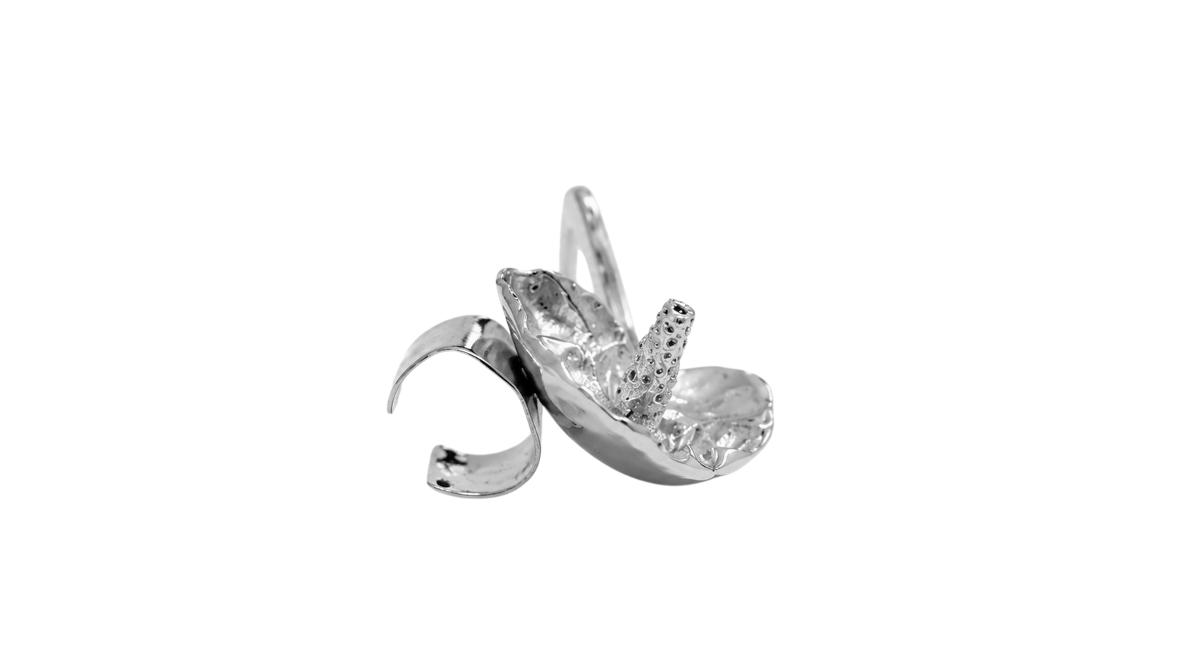 Aretes Anturio